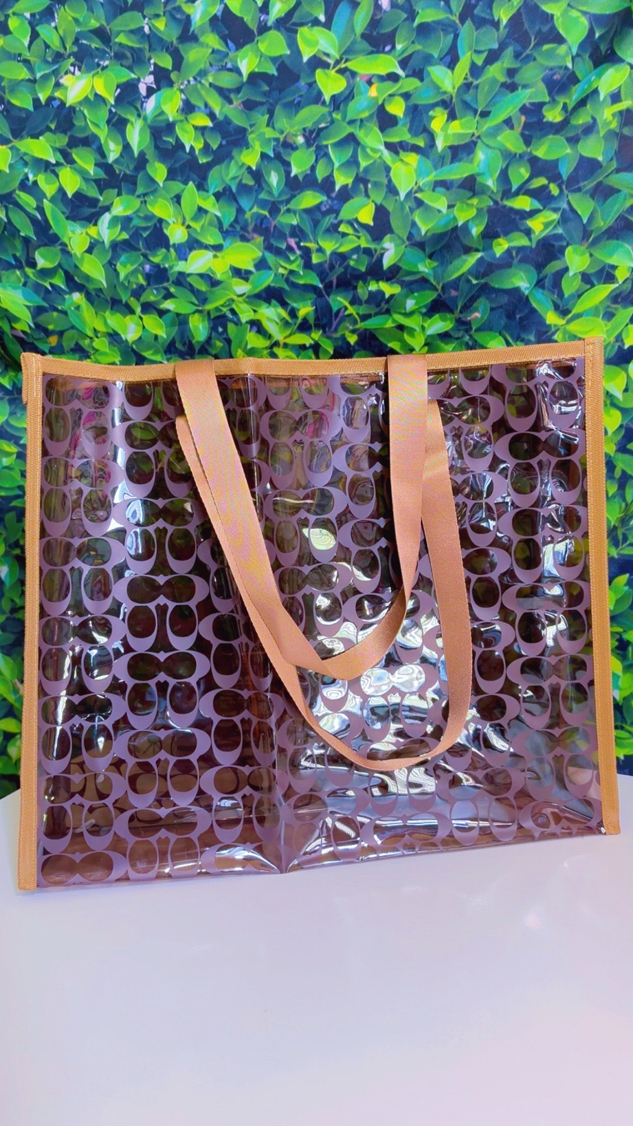 Designer Inspired Clear Tote Bag