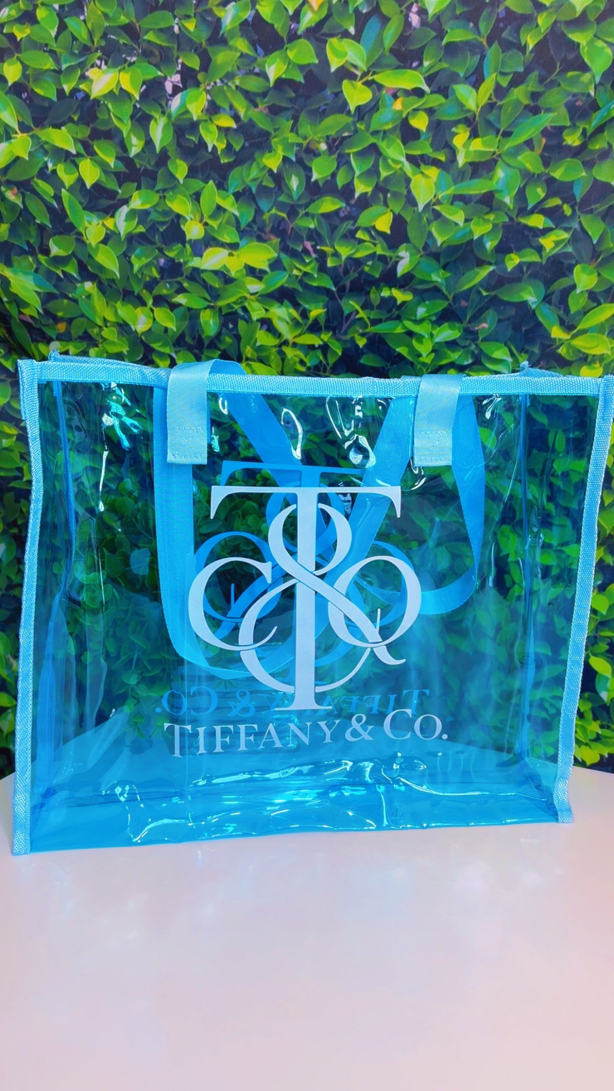 Designer Inspired Clear Tote Bag