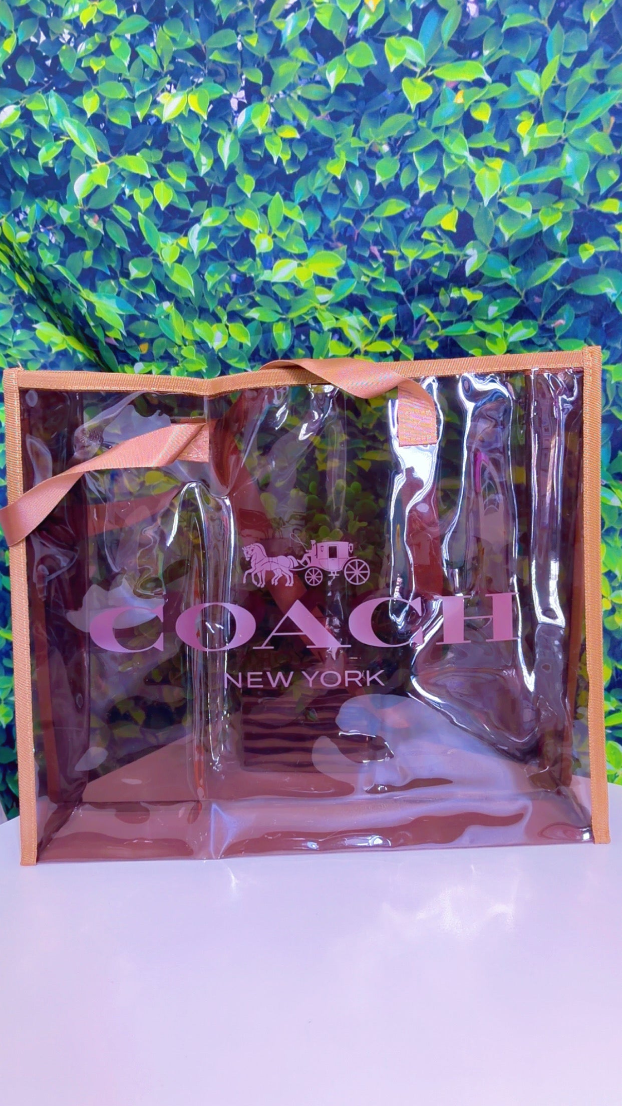 Designer Inspired Clear Tote Bag