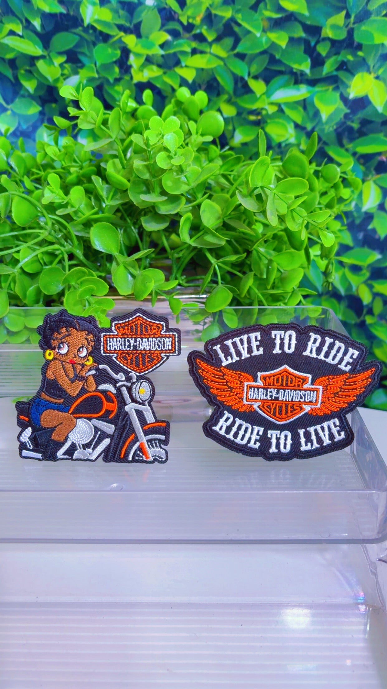 Live to ride Harley featuring Betty iron on patch set
