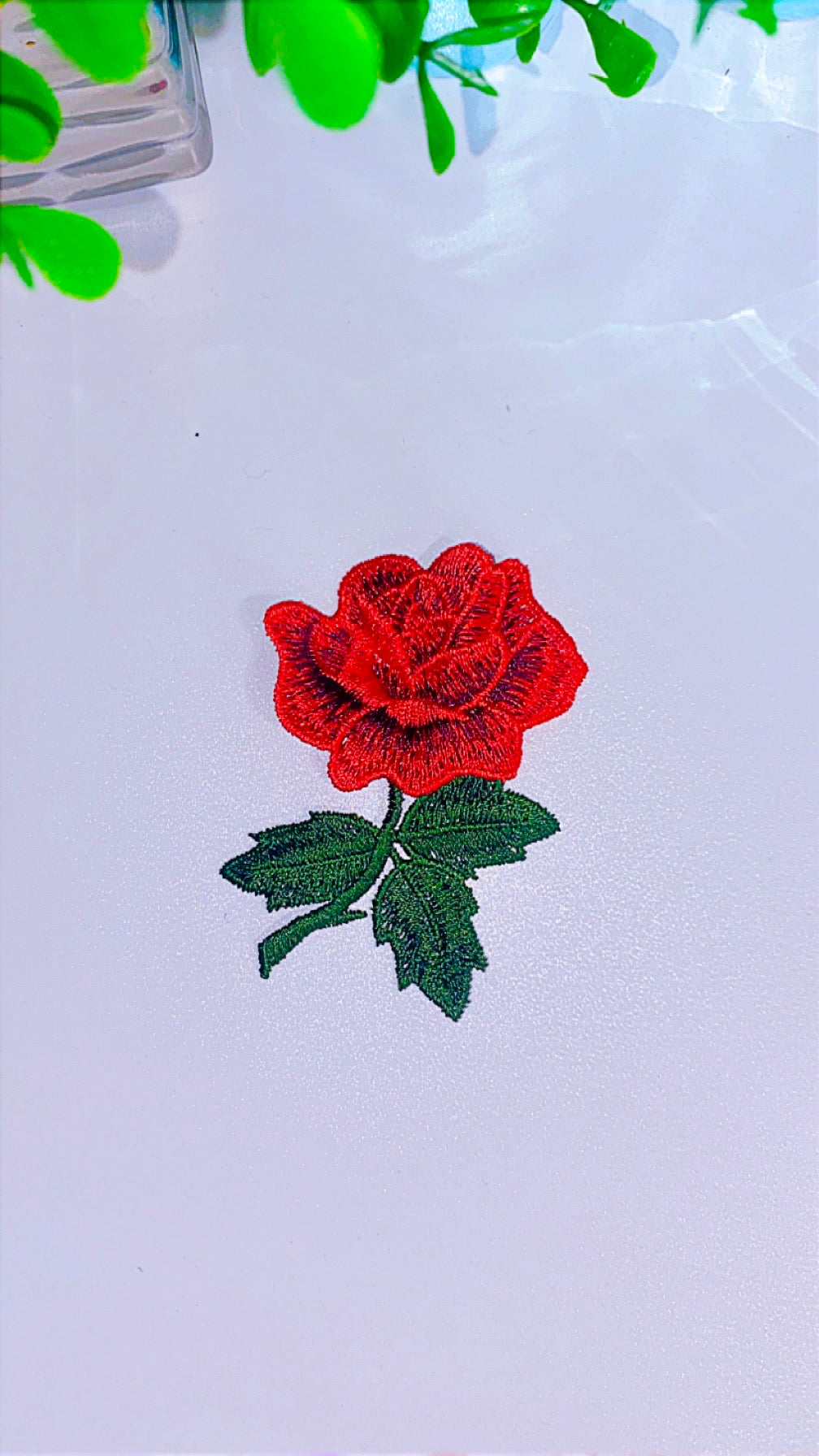 Flower (5 options)