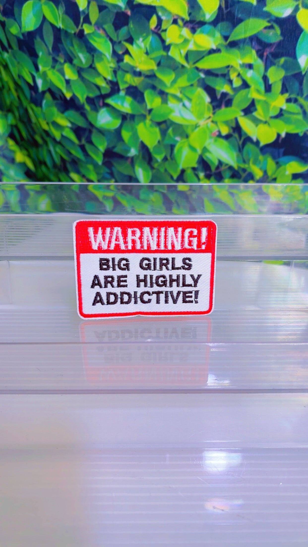 Warning ⚠️ Big girls are highly addictive iron on patch