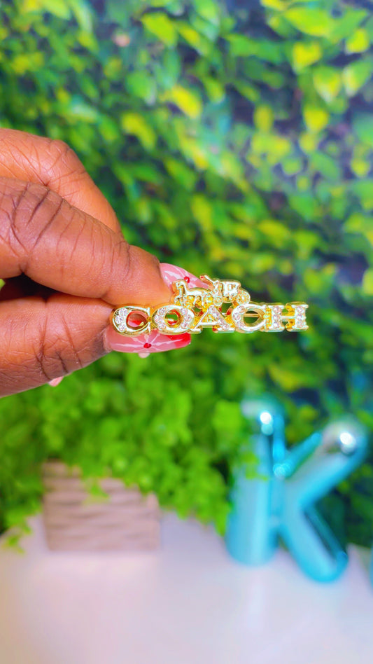 Coach brooch